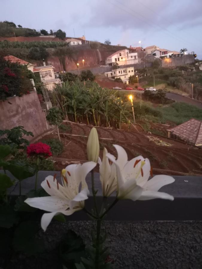 蓬他达维托亚Casa-Albatros别墅 外观 照片